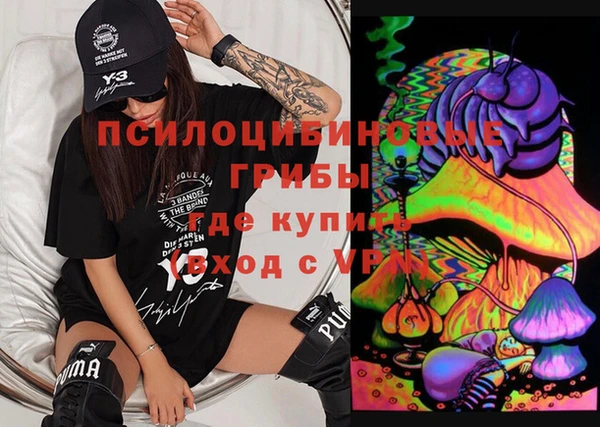 тгк Белокуриха