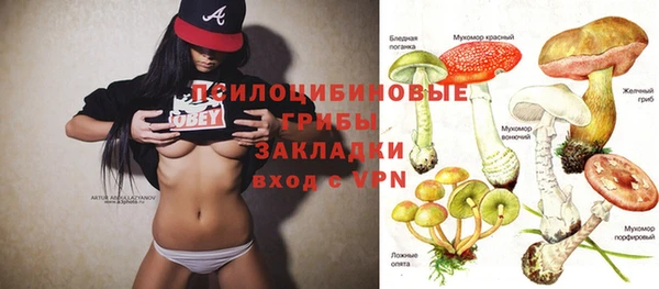 ешки Беломорск