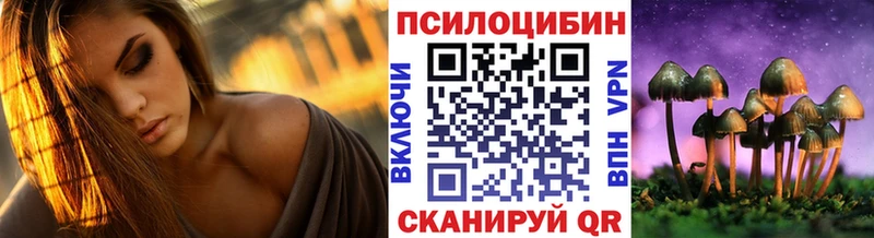 Псилоцибиновые грибы Cubensis Сковородино